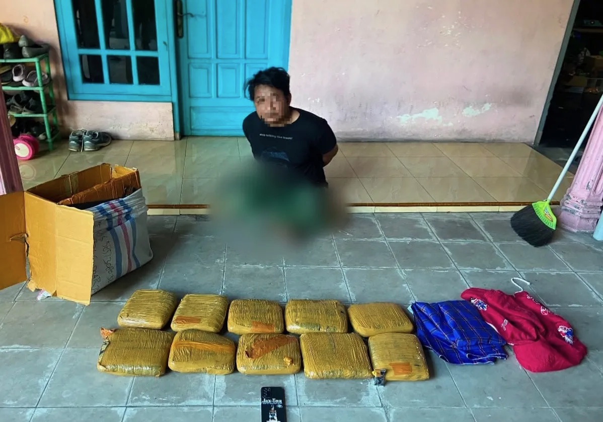 Bareskrim Gagalkan Pengiriman 10 Kg Ganja dari Padang ke Sidoarjo, 1 Orang Ditangkap