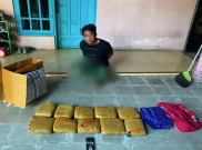 Bareskrim Gagalkan Pengiriman 10 Kg Ganja dari Padang ke Sidoarjo, 1 Orang Ditangkap