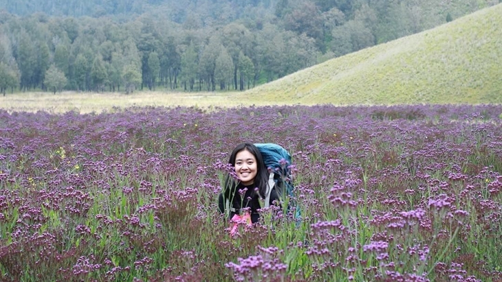 Kembaran Padang Lavender Mont Ventoux Ada di Semeru