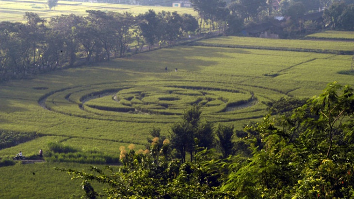 Mengingat Heboh Crop Circle Pertama Indonesia di Sleman