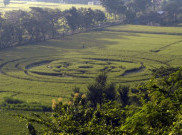 Mengingat Heboh Crop Circle Pertama Indonesia di Sleman