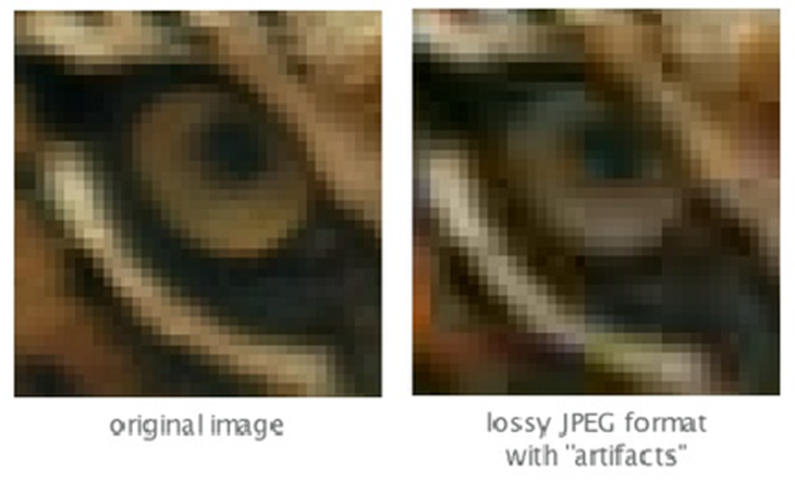 Apa Beda JPEG, GIF, PNG, dan RAW?