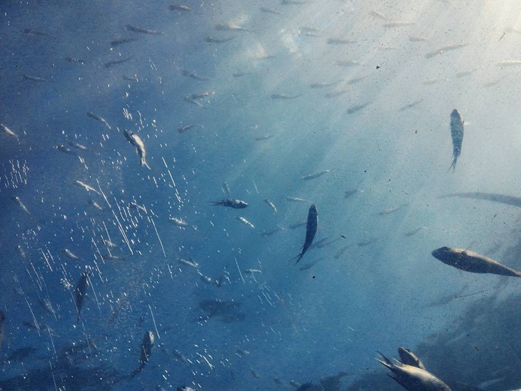 Pulau Putri. (Foto: https://www.instagram.com/yehezkiel_kiki)