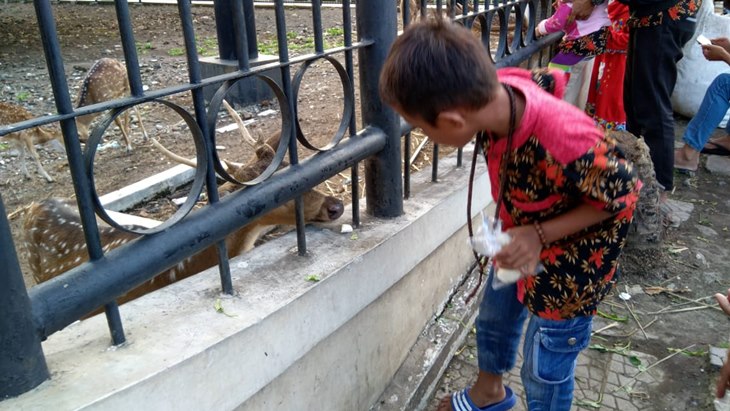rusa