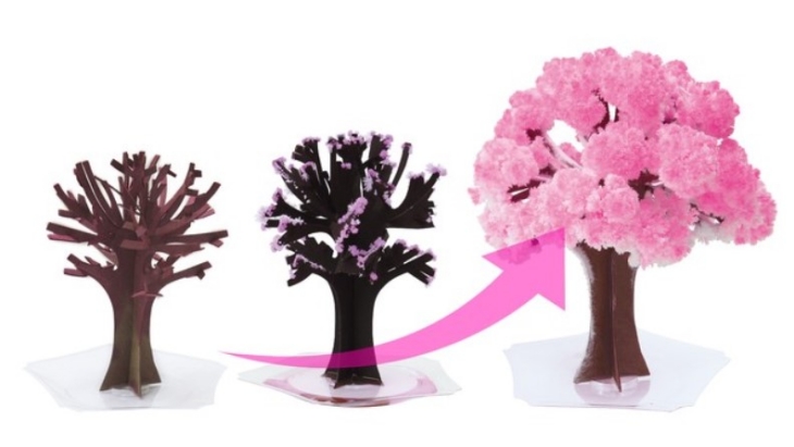 Membeli Pohon Sakura Ajaib untuk Menyambut Musim Semi