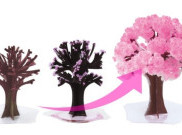 Membeli Pohon Sakura Ajaib untuk Menyambut Musim Semi
