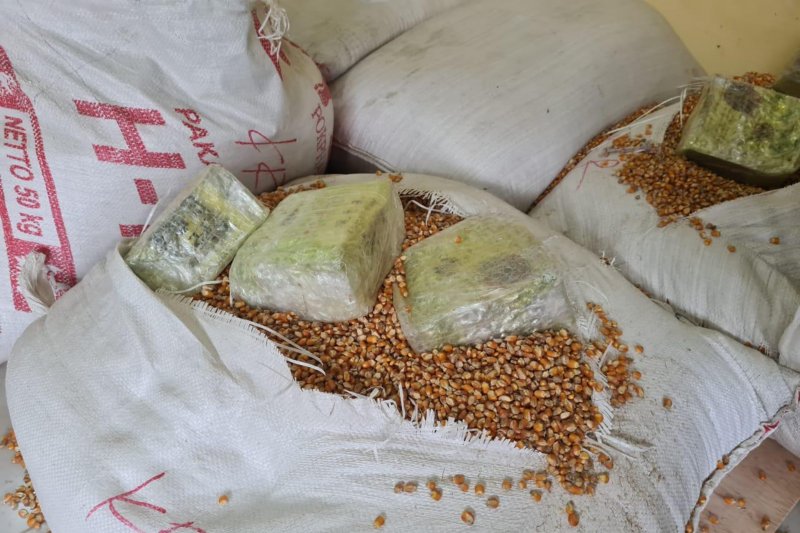 Barang bukti narkotika jenis sabu-sabu yang diselundupkan di dalam karung berisi biji jagung yang diungkap Badan Narkotika Nasional di Jalan Prabu Siliwangi, Tangerang, Banten, Selasa (28-7-2020). ANTARA/HO-BNN