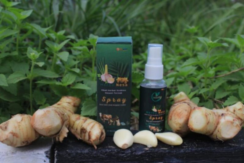 Obat Herbal Semakin Banyak Digunakan Pada Hewan 