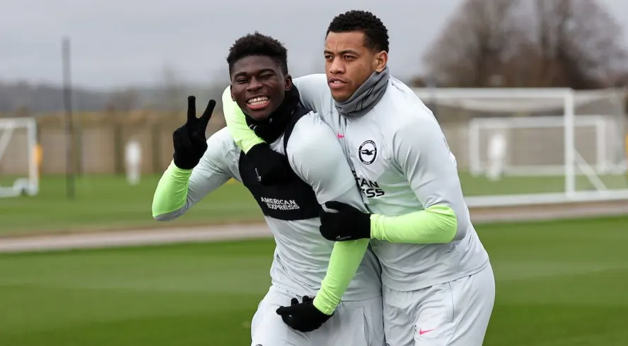 Manchester United Makin Dekat dengan ‘The Next Casemiro’ dari Brighton Albion
