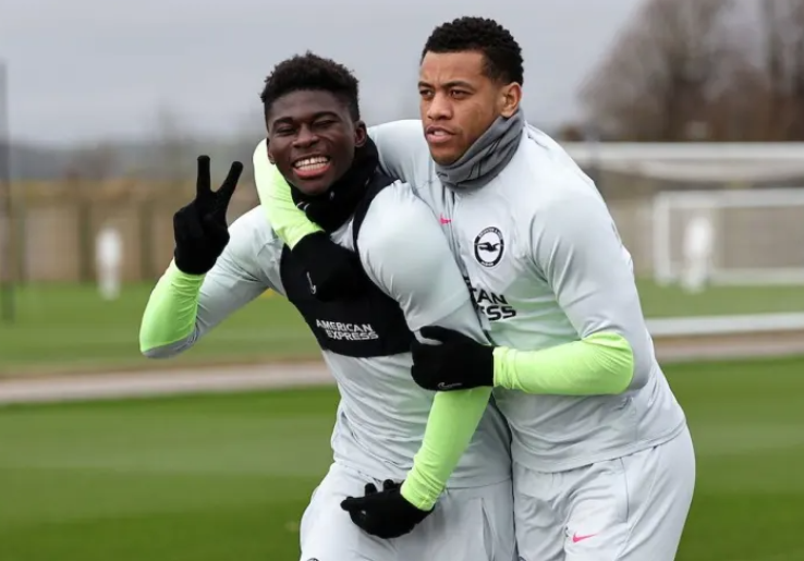 Manchester United Makin Dekat dengan ‘The Next Casemiro’ dari Brighton Albion