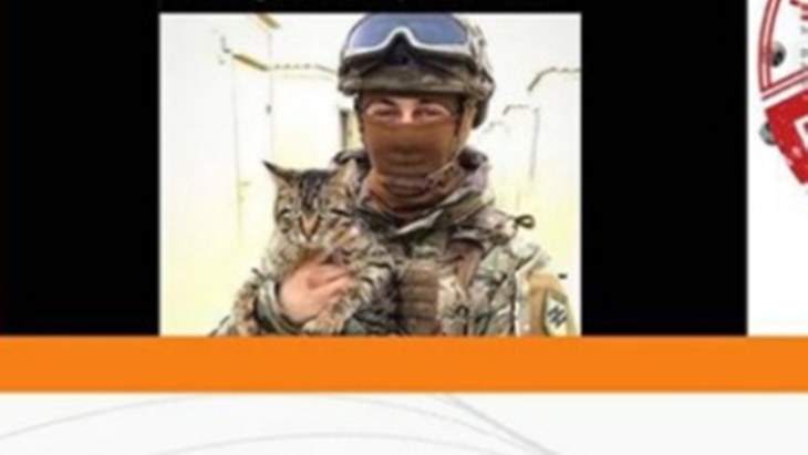 [HOAKS atau FAKTA]: Seekor Kucing Dilatih untuk Bantu Ukraina Lawan Sniper Rusia