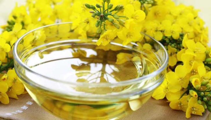 Jangan Pakai Minyak Canola Kalau..