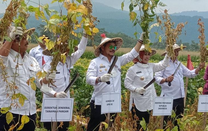 Ketergantungan pada Impor, Pemerintah Tingkatkan Produksi Kedelai Dalam Negeri