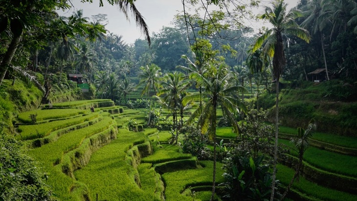 5 Hidden Gem Indonesia untuk Liburan Akhir Pekan