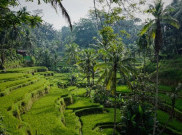 5 Hidden Gem Indonesia untuk Liburan Akhir Pekan