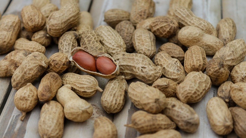 Ketagihan Makan Kacang? Ketahui Dampak Buruknya untuk Kesehatan