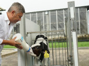 Kolaborasi Susu dan Dunia Olahraga Gaungkan Gaya Hidup Sehat Jelang World Milk Day 2025