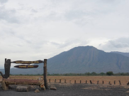 Gowes Africa Van Java, Promosi Wisata Ala Situbondo