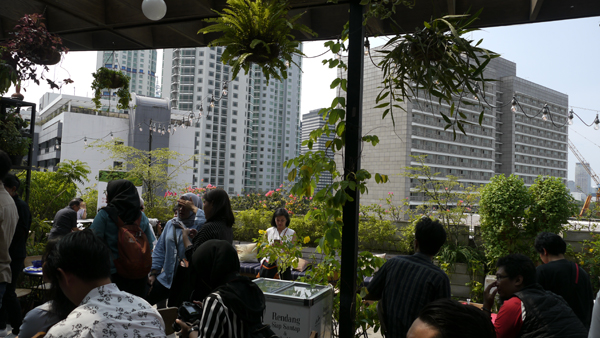 hause rooftop