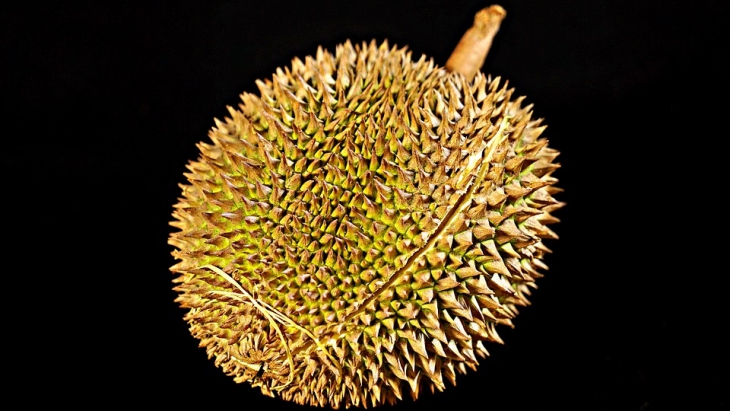 Ternyata Durian Tak Mengandung Kolesterol