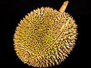 Ternyata Durian Tak Mengandung Kolesterol