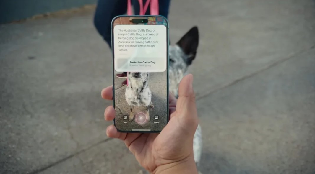 Apple Luncurkan Fitur Visual Intelligence, Mirip Google Lens