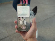 Apple Luncurkan Fitur Visual Intelligence, Mirip Google Lens
