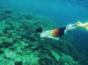 Kerusakan Terumbu Karang Kepulauan Seribu Capai 60 Persen