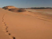 Benua Afrika Retak, Samudra Baru akan Muncul