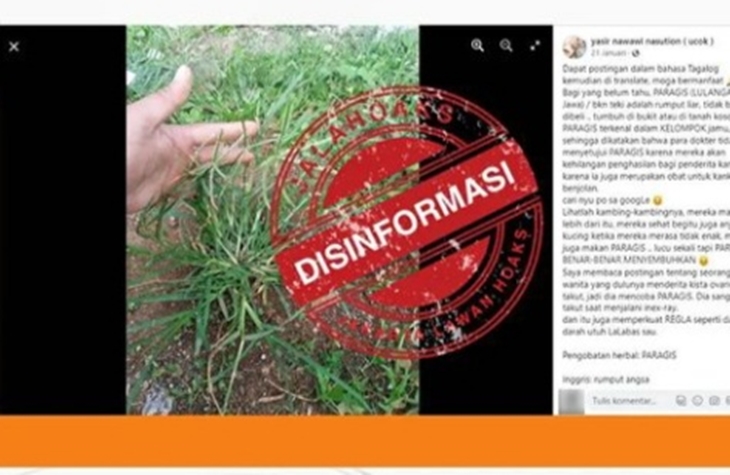 [HOAKS atau FAKTA]: Rumput Paragis Bisa Sembuhkan Penyakit Kanker