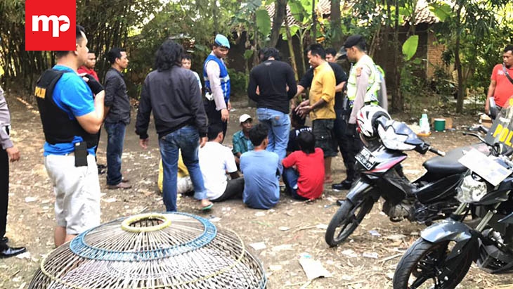 Polisi Tangkap 10 Orang Penjudi Sabung Ayam