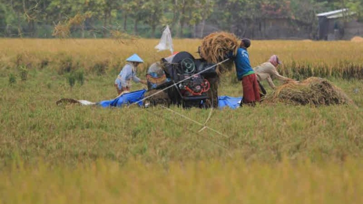 Rencana Impor Beras Mengemuka, Jokowi Diminta Copot Menteri Tak Pro Rakyat