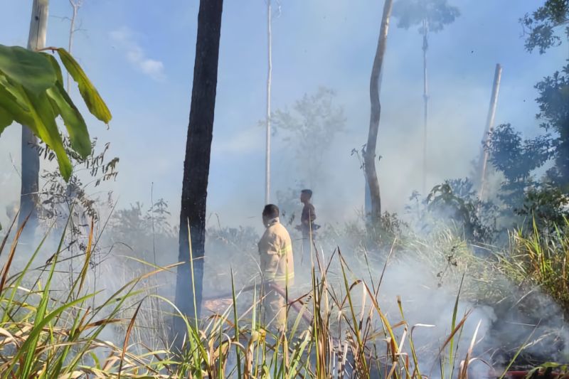 107 Ribu Hektar Lahan Hangus, Menko Polkam Bilang Belum Ada Negara Tetangga Terganggu