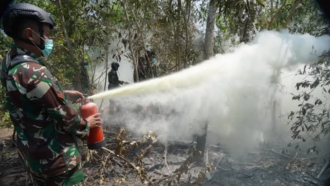 Kemenhut Awasi 32 Perizinan Pemanfaatan Hutan, 20 Perusahaan Dijatuhi Sanksi