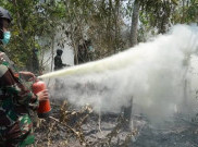 Kemenhut Awasi 32 Perizinan Pemanfaatan Hutan, 20 Perusahaan Dijatuhi Sanksi