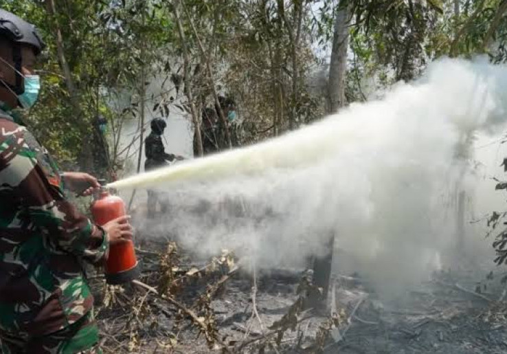Kemenhut Awasi 32 Perizinan Pemanfaatan Hutan, 20 Perusahaan Dijatuhi Sanksi