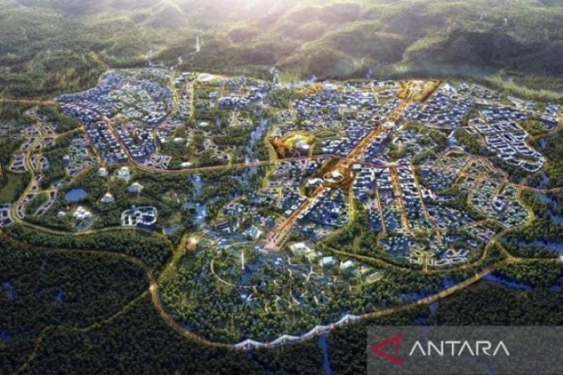 2/3 Lahan Untuk Pembangunan IKN Berupa Hutan Tropis