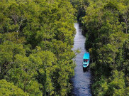 Cerita Sungai Sekonyer, dari Perjuangan hingga Makhluk Halus