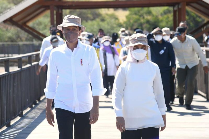 Jokowi Bakal Lakukan Kunjungan 3 Negara Asia Timur