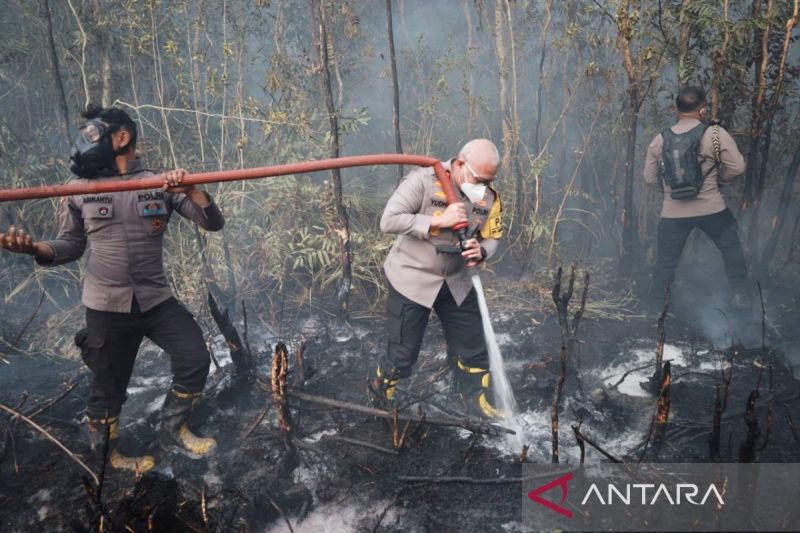 Hotspot Karhutla di Sumatera Selatan Makin Bertambah, Secara Nasional Diklaim Menurun