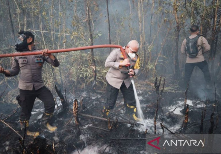 Karhutla Ancam Usaha Lokal, Pakar Minta Pemerintah Intervensi Penundaan Bayar Bunga Pinjaman