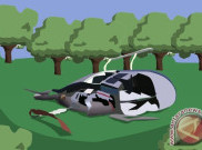  Ekor Patah Masih Nekat Terbang, Helikopter Pabrik Elektronik Penyuplai Militer Rusia Jatuh Tewaskan 5 Orang