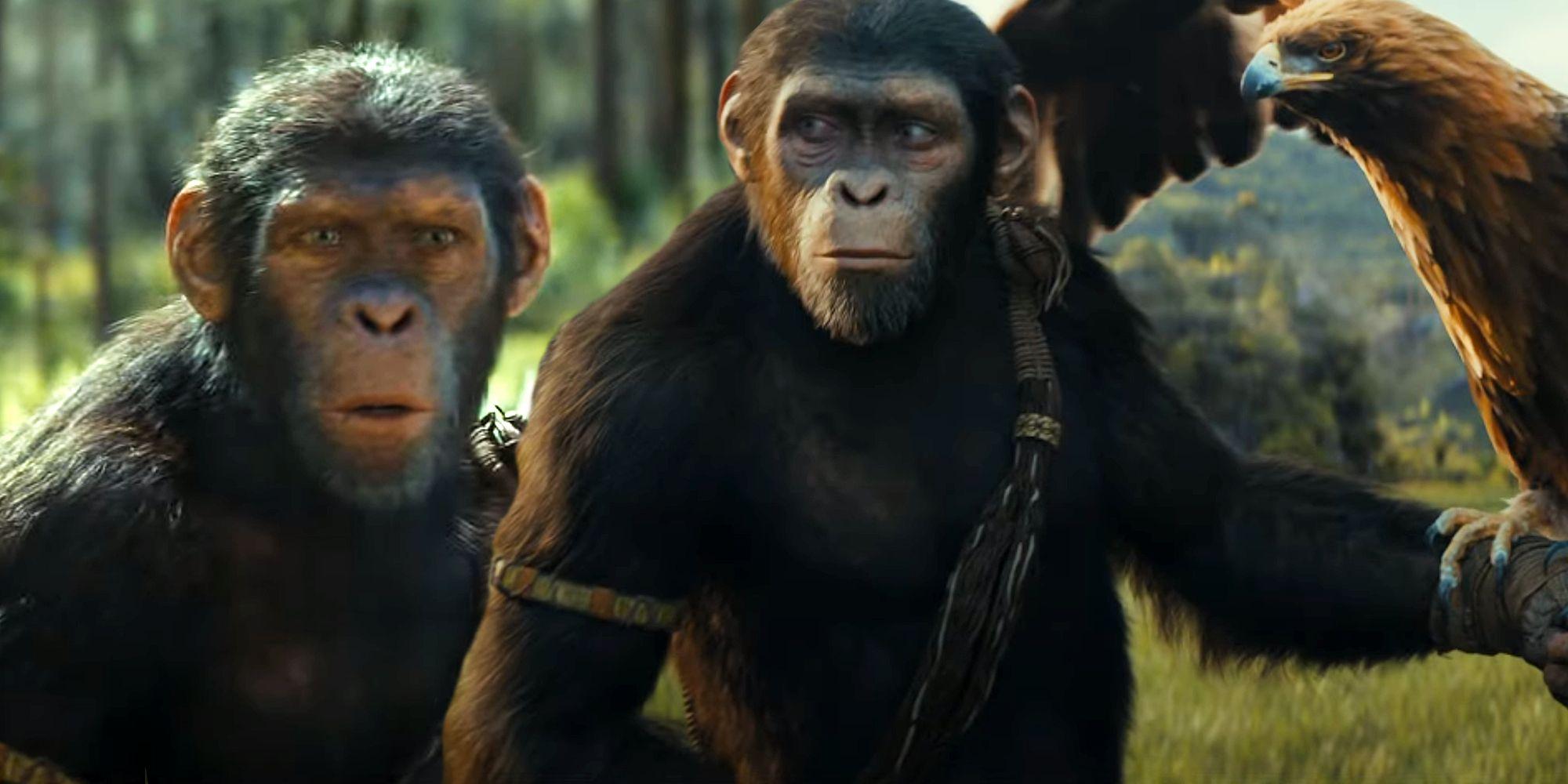 Berkenalan dengan Para Karakter di 'Kingdom of the Planet of the Apes'