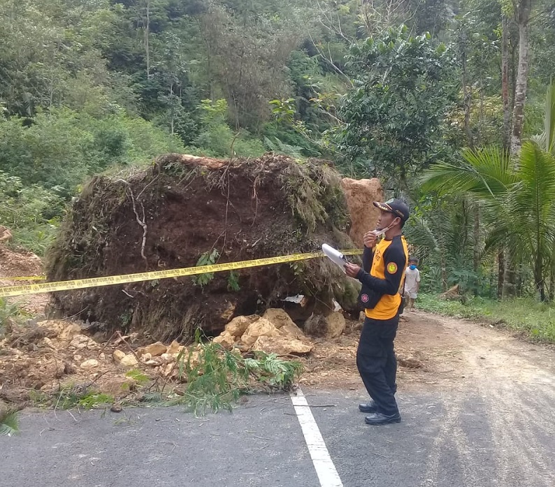Tanah longsor di Kulonprogo DIY. (Foto : TRC BPBD DIY)
