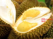 Doyan Durian? Buruan Ke Rangkasbitung