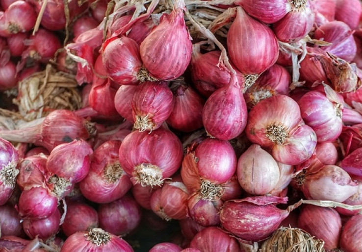 Manfaat Baik Bawang Merah bagi Tubuh