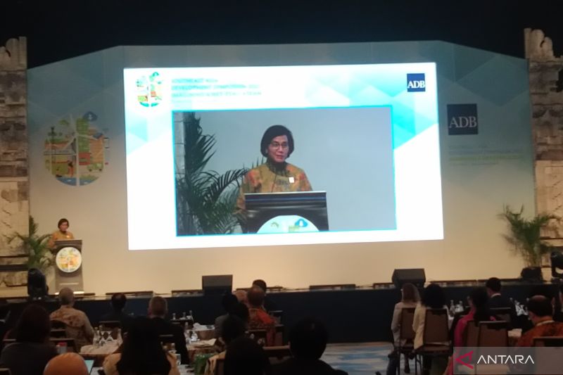 Indonesia Mengklaim Sudah Gelontorkan Rp 313 Triliun Kurangi Emisi Karbon