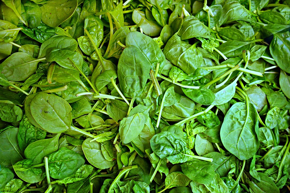 Bayam (Sumber: Pixabay/MabelAmber)