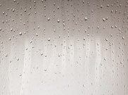 Tak Perlu Dehumidifier untuk Mengurangi Kelembapan dalam Rumah