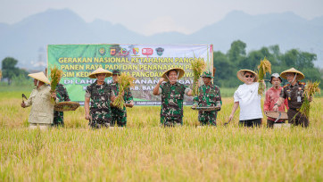 Bersama TNI AD, Jerry Hermawan Lo Bangunkan Lahan Tidur 4 Tahun untuk Wujudkan Program Ketahanan Pangan Prabowo